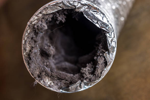Best Best Air Duct Cleaning Company  in Plentywood, MT